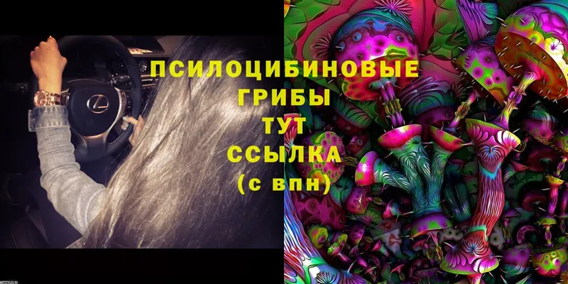 Псилоцибиновые грибы MAGIC MUSHROOMS  Балаково 